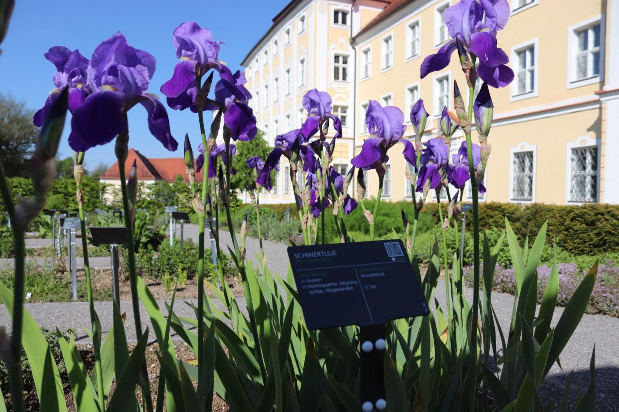 Klostergasthof Roggenburg מראה חיצוני תמונה