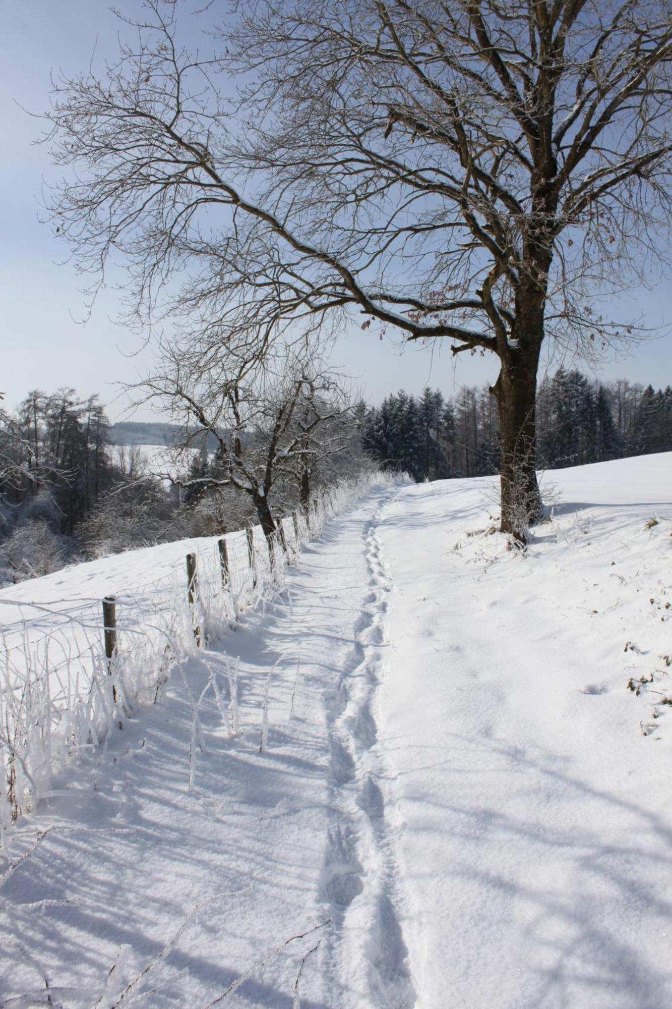 Klostergasthof Roggenburg מראה חיצוני תמונה